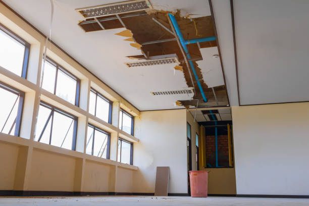 Best Professional water damage repair  in Monroeville, OH
