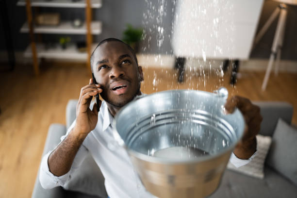 Best 24-hour water damage restoration  in Monroeville, OH