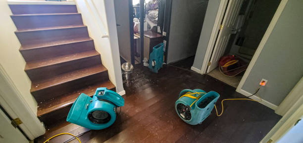 Best Local water damage restoration  in Monroeville, OH