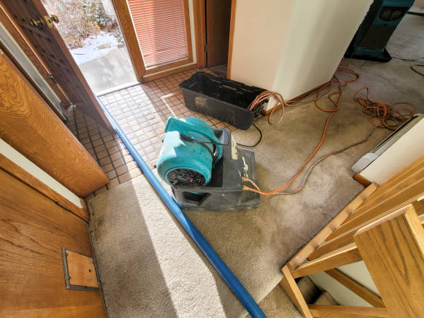Best Water damage restoration insurance claims  in Monroeville, OH