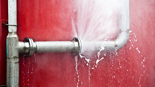 Best Water damage restoration near me  in Monroeville, OH